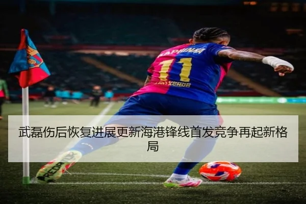 武磊伤后恢复进展更新海港锋线首发竞争再起新格局 | Kaiyuansports